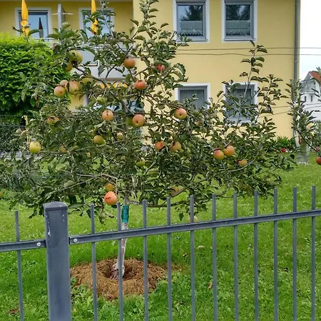 Lehner * Kirchham